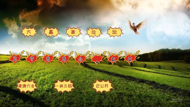 4949澳门今晚开奖、警惕虚假宣传-全面释义、实证解答解释落实